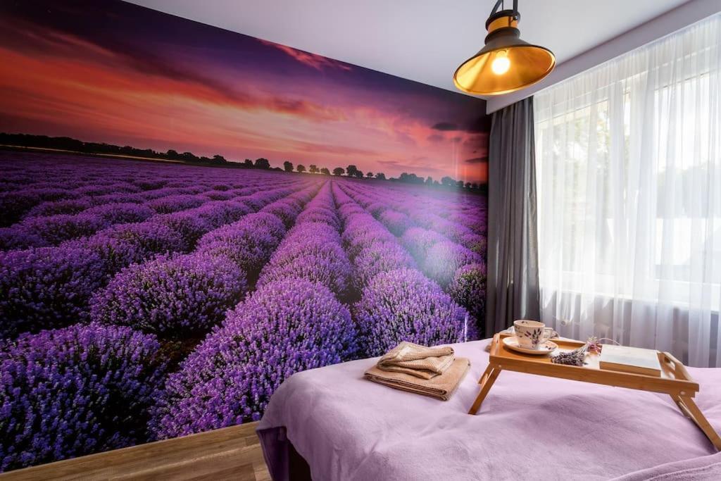 Uroczy, Komfortowy Dla 6 Osob - Apartment *